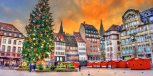 The 2025 Rockefeller Center Christmas Tree